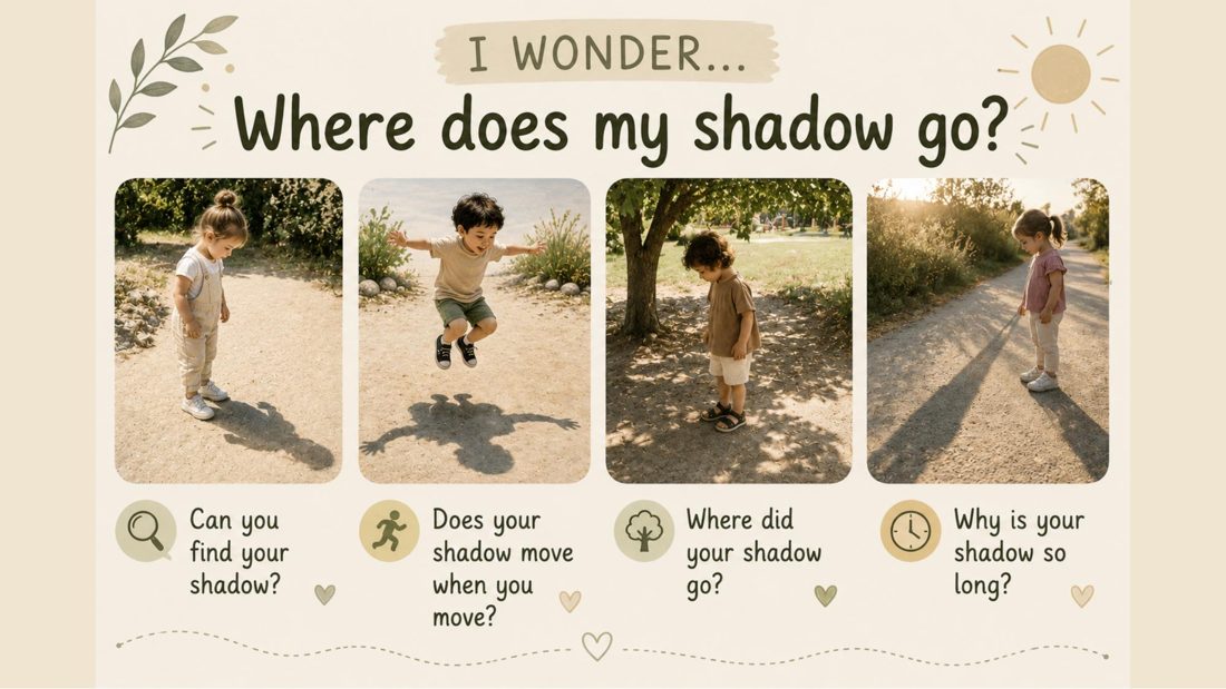 I Wonder card: Where does my shadow go?